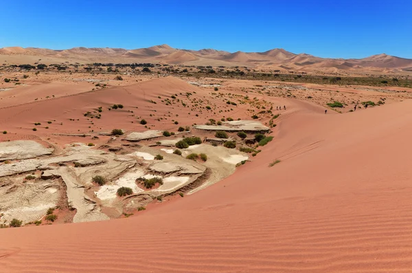 Sunrise sanddyner i namibia — Stockfoto