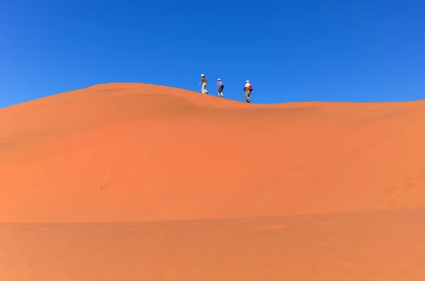 Viagens no deserto da Namíbia, África do Sul — Fotografia de Stock