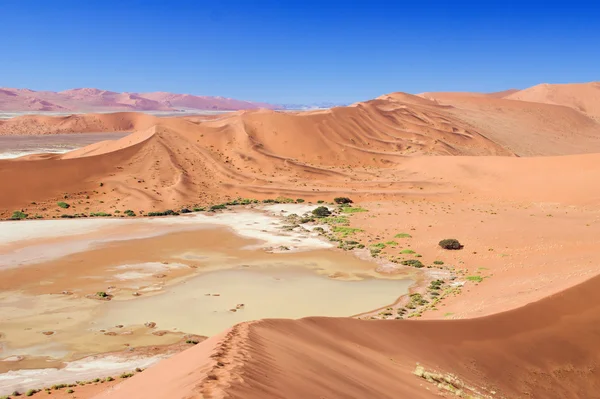Zonsopgang duinen in Namibië — Stockfoto