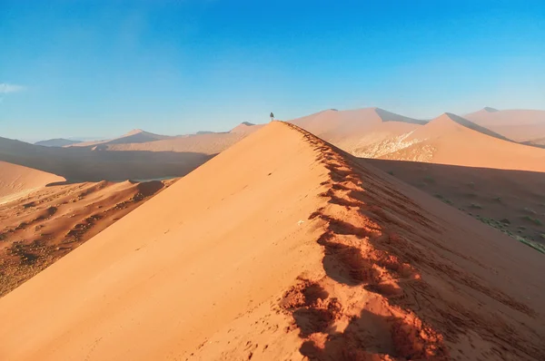 Dunes du lever du soleil en Namibie — Photo