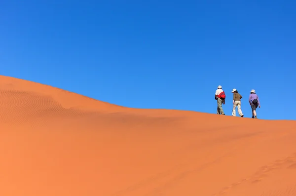 Viaggiare nel deserto della Namibia, Sud Africa — Foto Stock