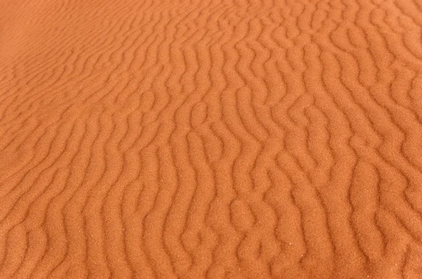 Desert sand background — Stock Photo, Image