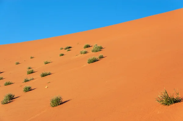 Namib woestijn, Namibië, Zuid-Afrika — Stockfoto