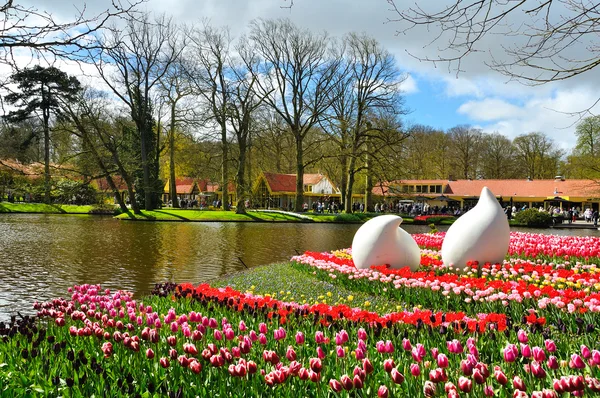 キューケンホフ公園内の美しい春の花 — ストック写真