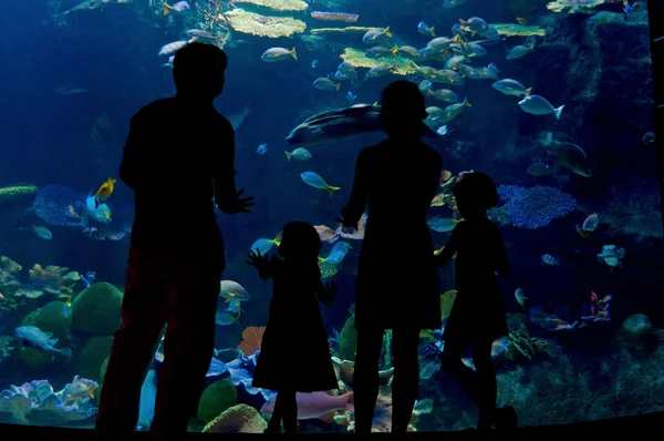 Silhuetas de família com duas crianças no oceanário — Fotografia de Stock