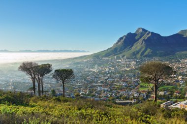 Cape Town, Güney Afrika