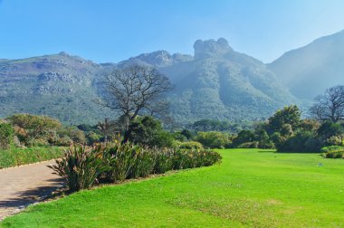 KIRSTENBOSCH botanik bahçeleri