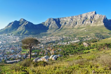 Cape Town, Güney Afrika