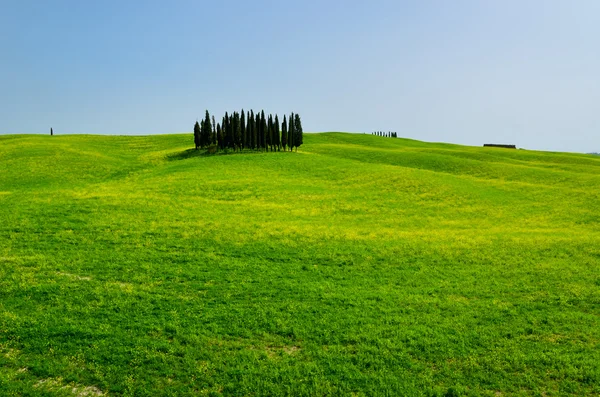 Hermoso paisaje Toscana — Foto de Stock