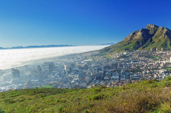 Cape Town, Güney Afrika — Stok fotoğraf