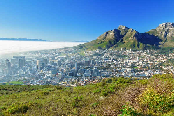 Cape Town, Güney Afrika — Stok fotoğraf