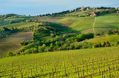 güzel chianti peyzaj, Toskana