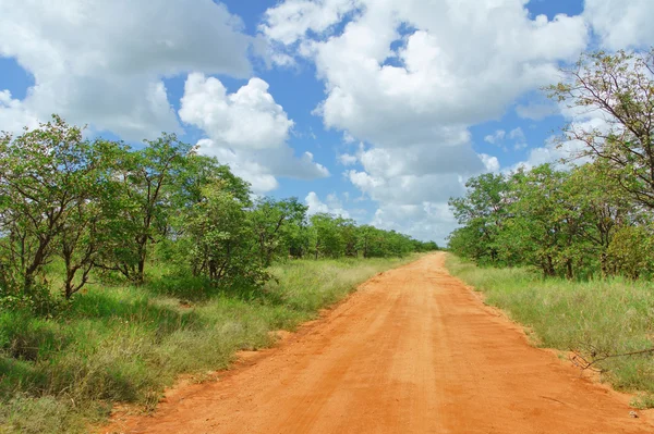 Afrikaanse weg in de savanne, Zuid-Afrika — Stockfoto