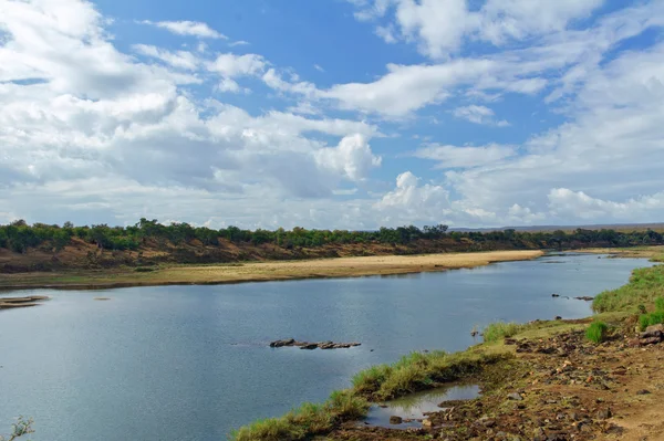 River in Kruger national park — Stock Photo, Image