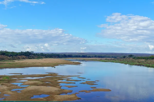 River in Kruger national park — Stock Photo, Image