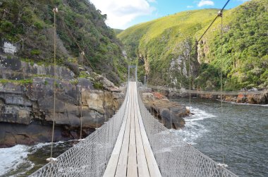 Bridge in Tsitsikamma national park, Garden route, South Africa clipart