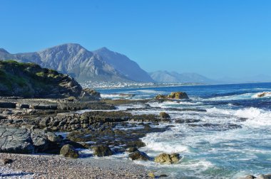 Hermanus güzel okyanus ve sahil peyzaj