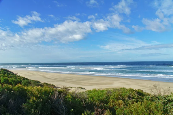 Schöner ozeanischer strand in südafrika — Stockfoto