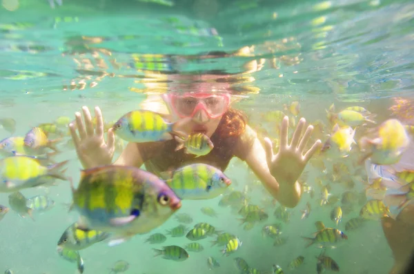 Kvinde snorkling under vandet i havet - Stock-foto