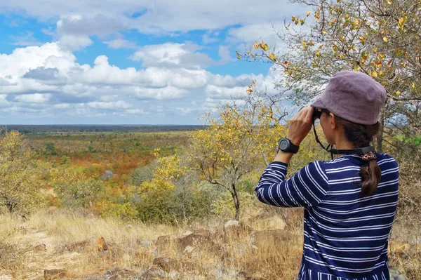 Safari en Sudáfrica — Foto de Stock