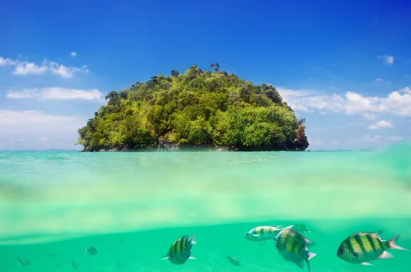 Beautiful tropical island and underwater sea world — Stock Photo, Image