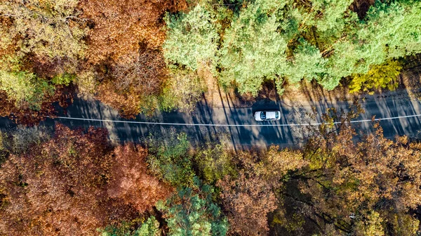 Vue Aérienne Par Drone Paysage Automnal Route Haut Arbres Automne — Photo