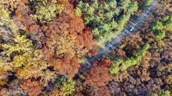 Letecký Bezpilotní Pohled Podzimní Krajinu Silnici Shora Žluté Zelené Červené — Stock fotografie