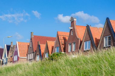 Tipik Hollanda aile evleri, geleneksel köy tarihi mimarisi, Hollanda, Hollanda