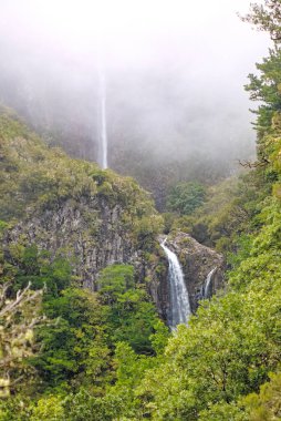 Madeira adası güzel şelale ve dağ manzarası, ulusal park Ribeiro Frio, Portekiz