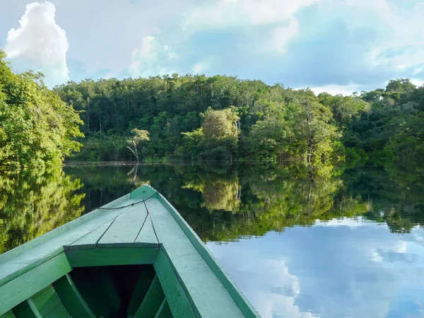 Amazonie Rivière Forêt Tropicale Jungle Brésil — Photo