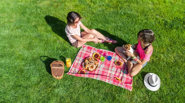 公園でピクニックをしている友達 芝生でリラックスして健康的な食べ物を屋外で食べる犬を持つ若い女の子 上からの空中ビュー — ストック写真