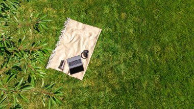 Laptop bilgisayar ve kulaklıklar park yeşil çim üzerinde, çevrimiçi açık havada çalışma, ofis konsepti dışında çalışma, yukarıdan hava aracı görünümü