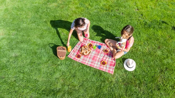 公園でピクニックをしている女性の友人 芝生でリラックスして健康的な食べ物を屋外で食べる犬を持つ若い女の子 上からの空中ビュー — ストック写真