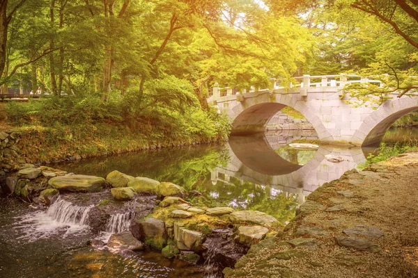 城市公园 放松的绿地 灰色的桥和树反映在水里 — 图库照片