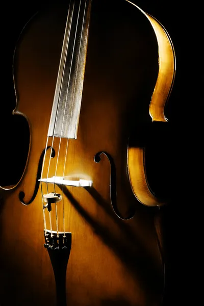 Orquesta de instrumentos musicales de violonchelo — Foto de Stock
