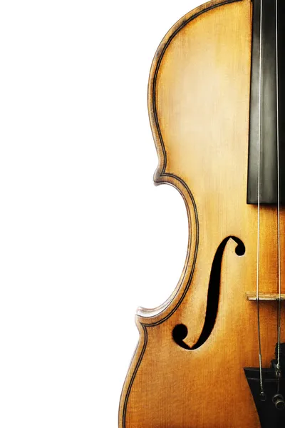 Violin musical instruments orchestra — Stock Photo, Image