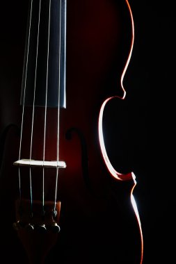 Keman Orkestrası müzik aletleri