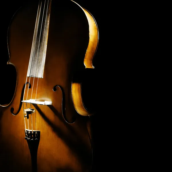 Cello orchestra musical instruments — Stock Photo, Image