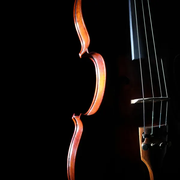 Instrumentos musicais de orquestra de violino — Fotografia de Stock