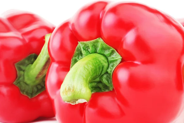 Paprika červená paprika — Stock fotografie