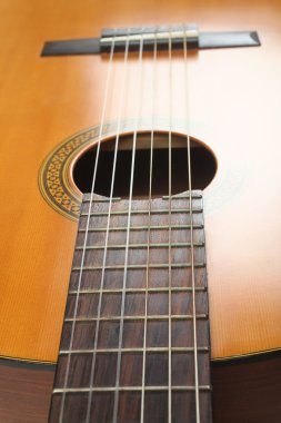 akustik gitar dizeleri ayrıntıları.