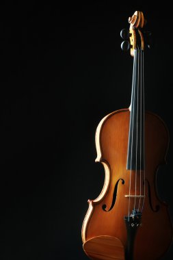 Keman Orkestrası müzik aletleri.
