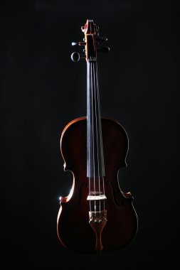 Keman Orkestrası müzik aletleri