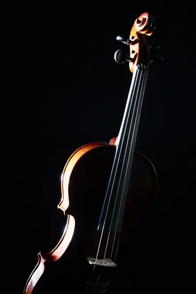 Violon isolé sur noir — Photo