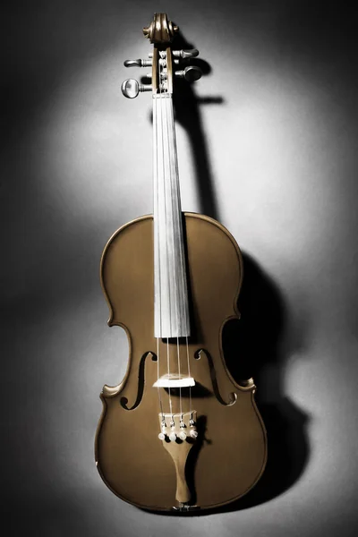 Classical musical instruments violin — Stock Photo, Image