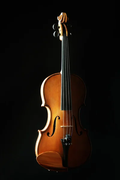 Violin orkester musikinstrument. — Stockfoto