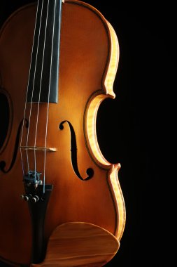 Keman Orkestrası müzik aletleri