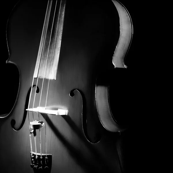 Cello orkester musikinstrument — Stockfoto