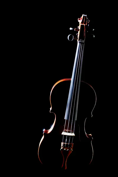 Violino isolato su nero — Foto Stock