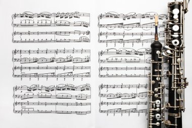 müzik aletleri müzik levha notları obua